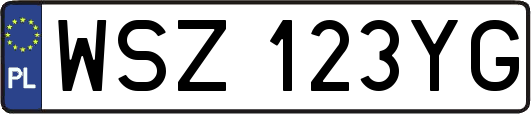 WSZ123YG