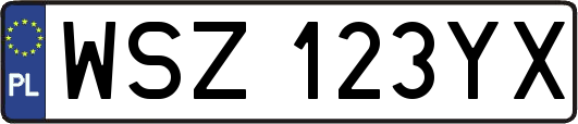 WSZ123YX