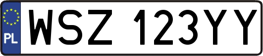 WSZ123YY