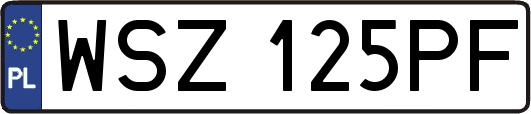 WSZ125PF