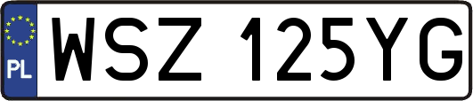WSZ125YG
