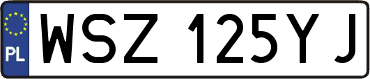 WSZ125YJ