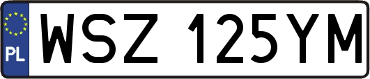 WSZ125YM