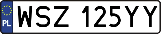 WSZ125YY