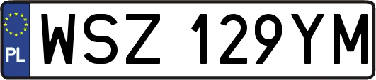 WSZ129YM