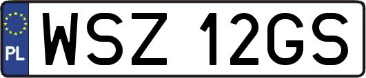 WSZ12GS