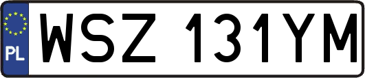 WSZ131YM