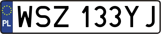 WSZ133YJ