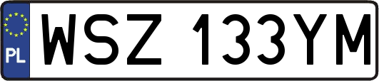 WSZ133YM