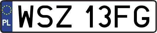 WSZ13FG