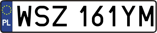 WSZ161YM