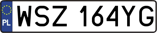 WSZ164YG