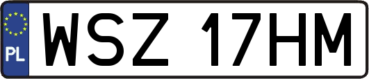 WSZ17HM