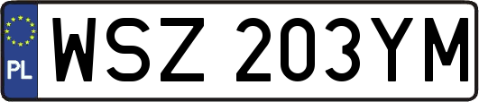 WSZ203YM