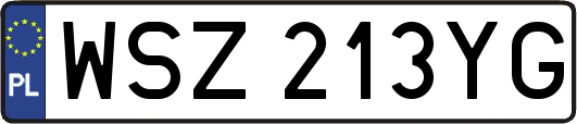 WSZ213YG
