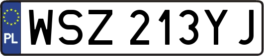WSZ213YJ
