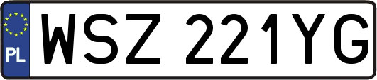 WSZ221YG