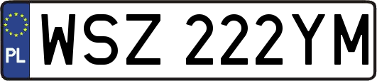 WSZ222YM