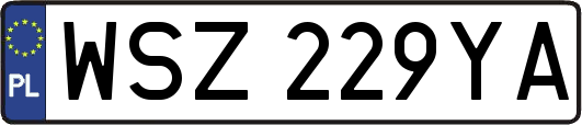 WSZ229YA
