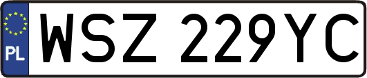 WSZ229YC