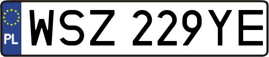 WSZ229YE