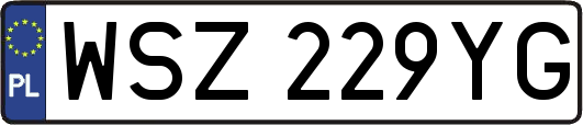 WSZ229YG