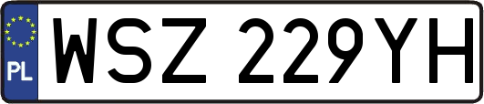 WSZ229YH