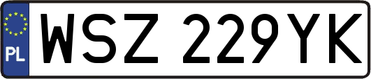 WSZ229YK