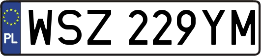 WSZ229YM