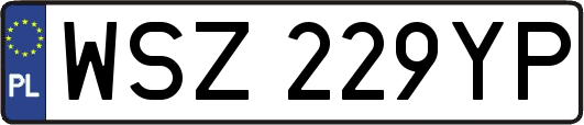 WSZ229YP
