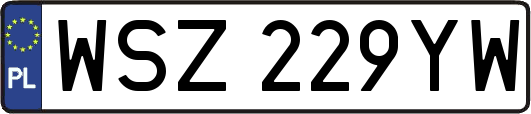 WSZ229YW