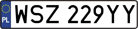 WSZ229YY