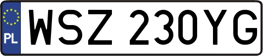 WSZ230YG