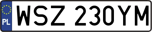WSZ230YM