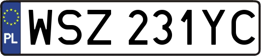 WSZ231YC