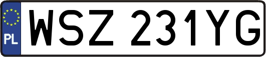 WSZ231YG