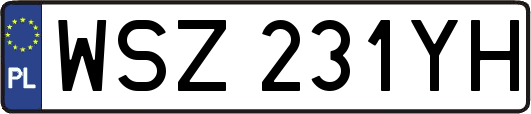 WSZ231YH
