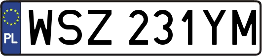 WSZ231YM