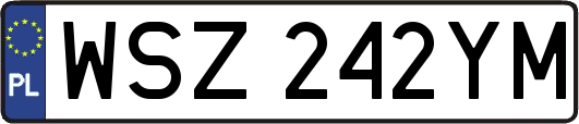 WSZ242YM
