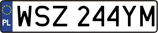 WSZ244YM