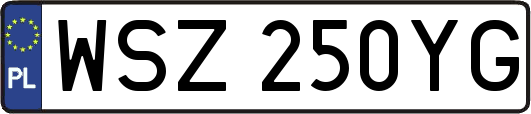WSZ250YG