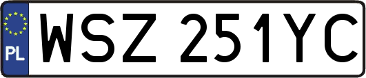 WSZ251YC