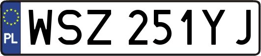 WSZ251YJ