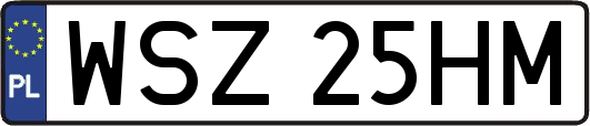 WSZ25HM