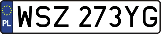 WSZ273YG