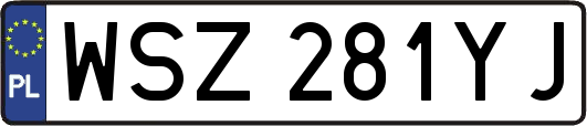 WSZ281YJ