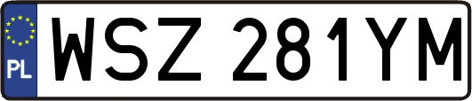 WSZ281YM