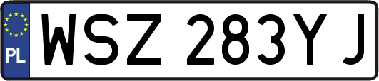WSZ283YJ