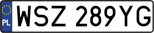 WSZ289YG