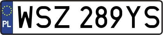 WSZ289YS